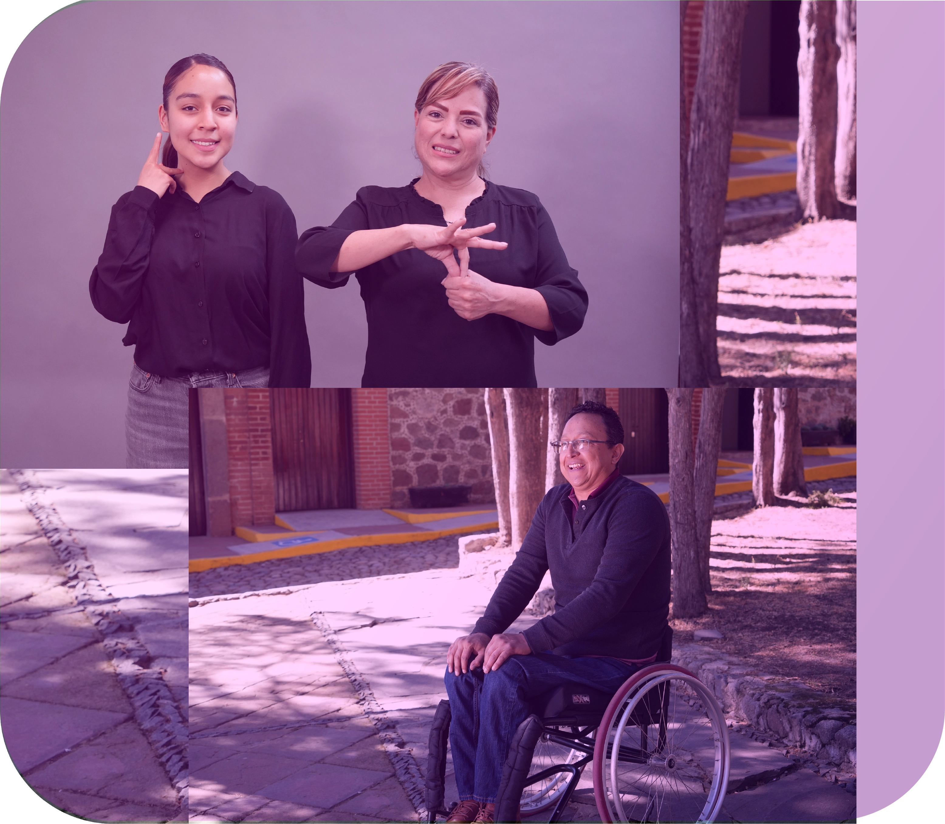 Descripción de la imagen